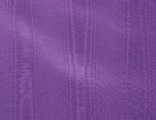 Purple Bengaline